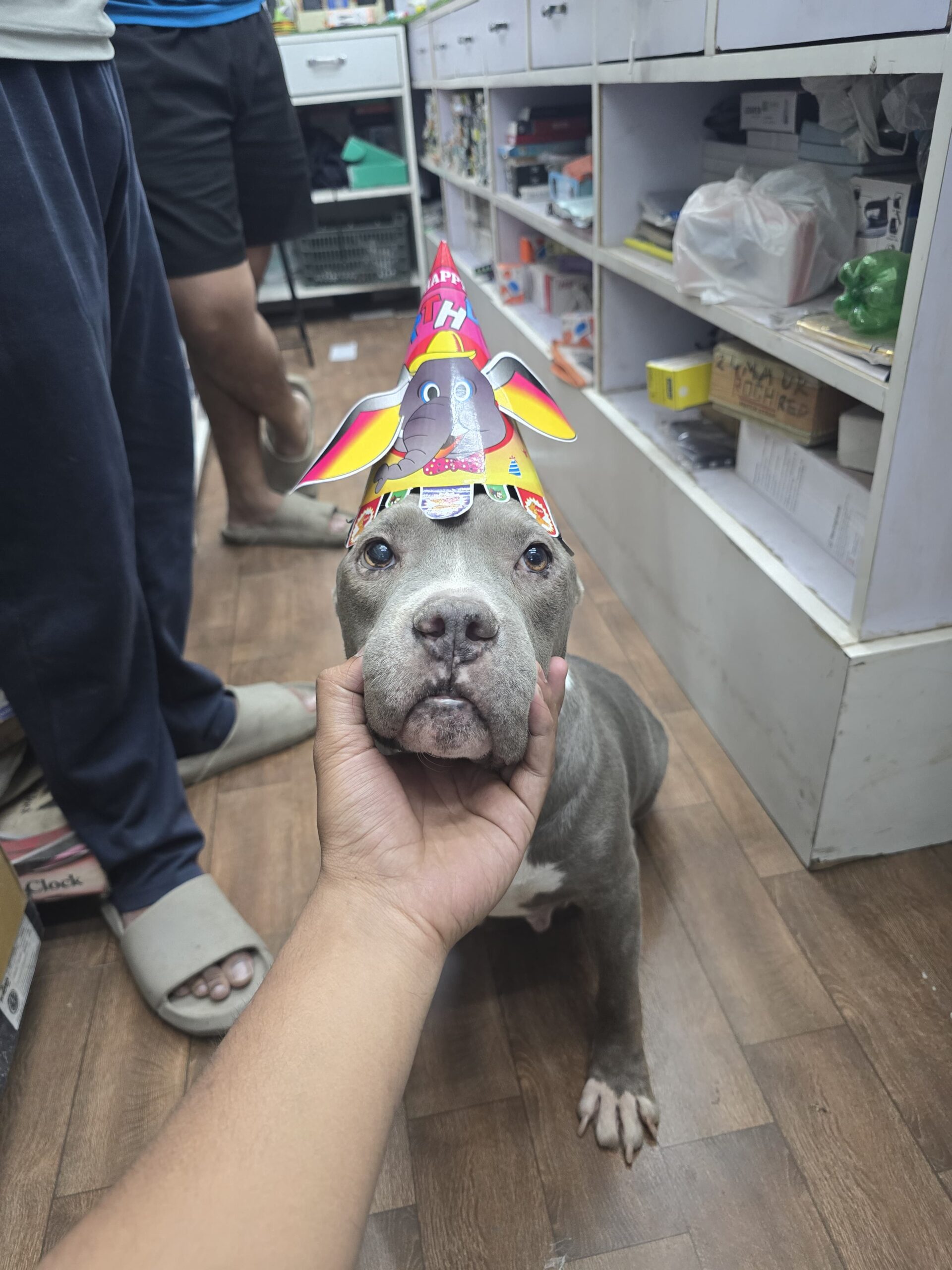 Lucy Birthday scaled