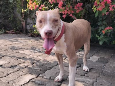 WhatsApp Image 2025-11-28 at 12.45.22_999dd899